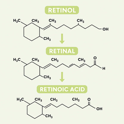 Retinal™ — Soin Lissant Anti-Rides Nouvelle Génération · Visage, Cou & Corps